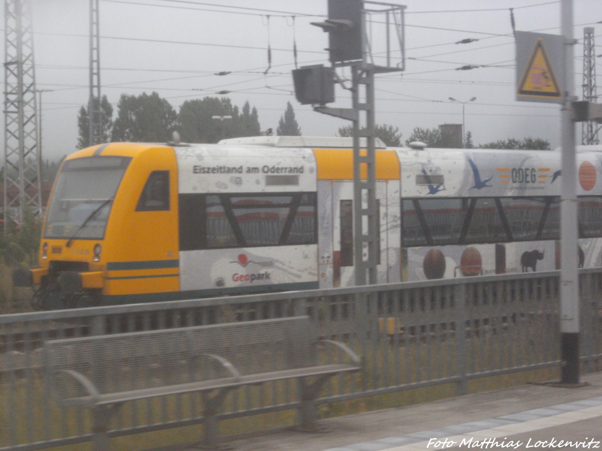 ODEG VT 650 im Bahnhof Eberswalde am 1.9.14