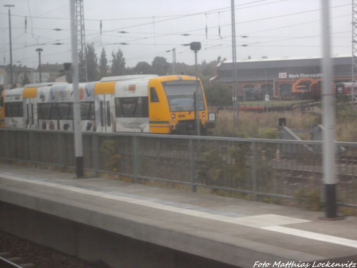 ODEG VT 650 im Bahnhof Eberswalde am 1.9.14