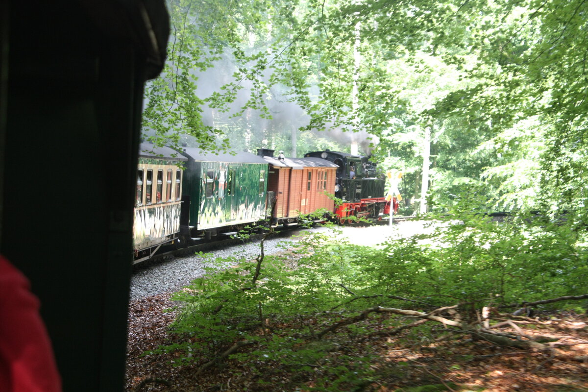 Panorama-Wagen Fotos mit der 99 4802 aufm Weg nach Lauterbach Mole am 28.7.21