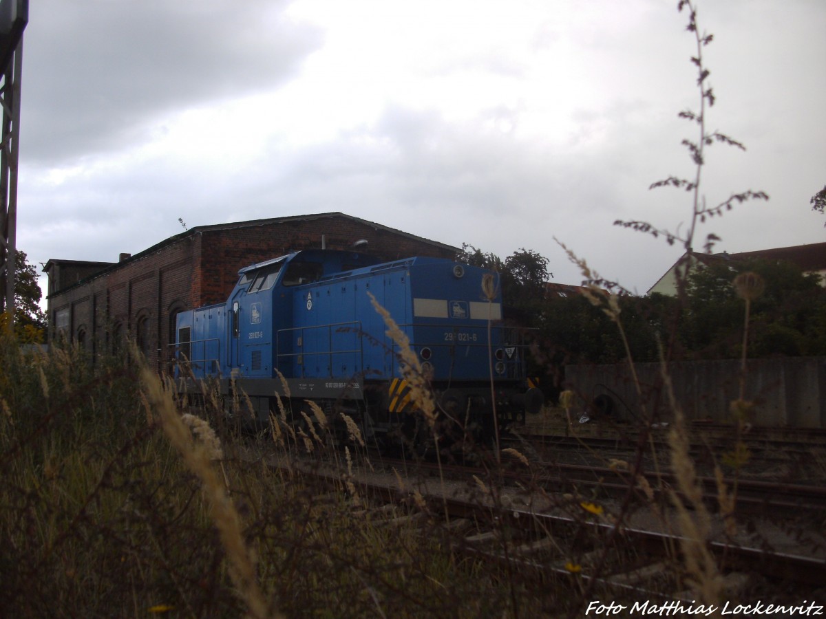 PRESS 293 021-6 abgestellt im Bahnhof Bergen auf Rgen am 23.8.14