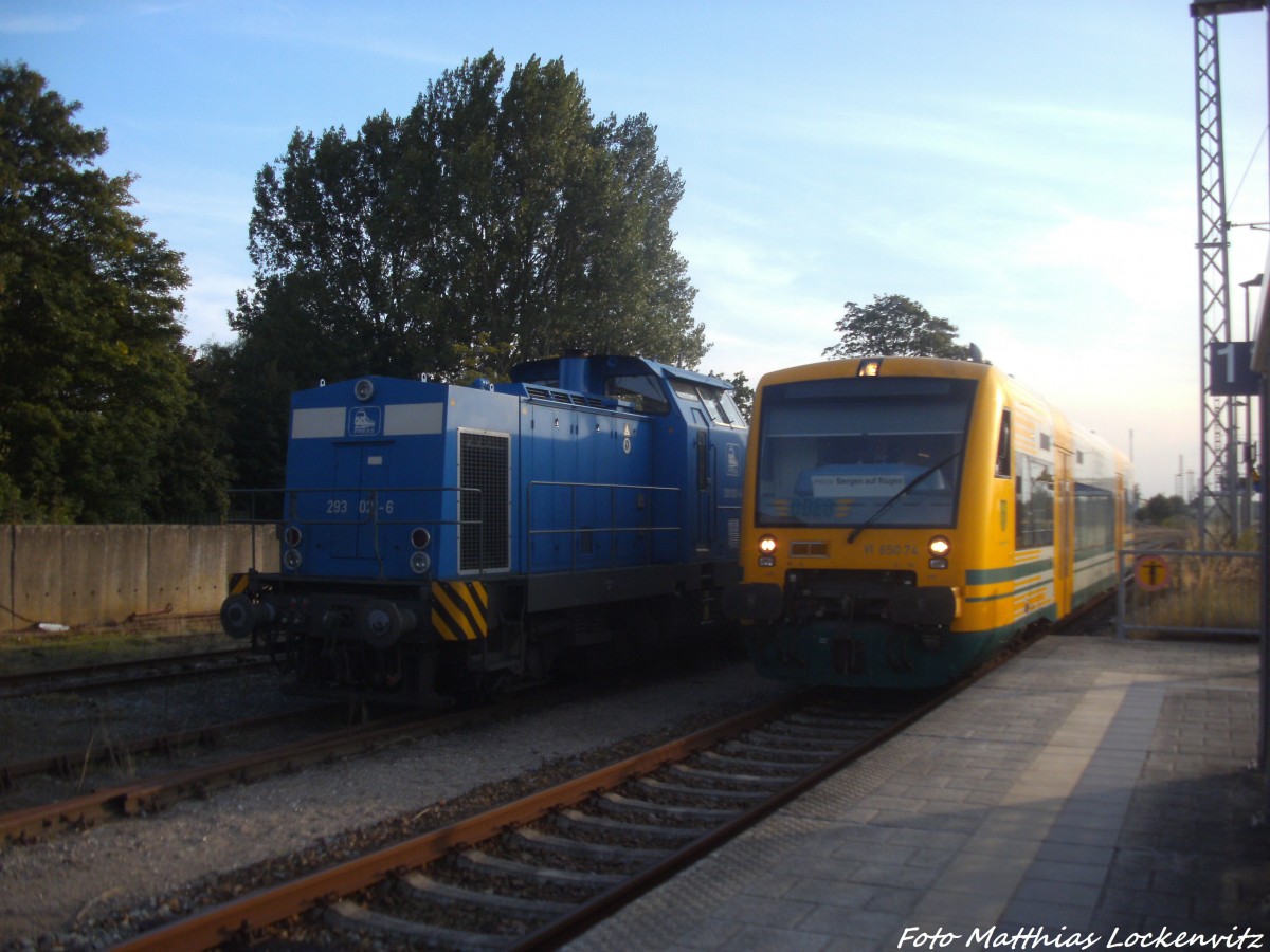 PRESS 293 021-6 abgestellt und ODEG VT 650.74 im Auftrag der PRESS beim einfahren in den Bahnhof Bergen auf Rgen am 5.9.14