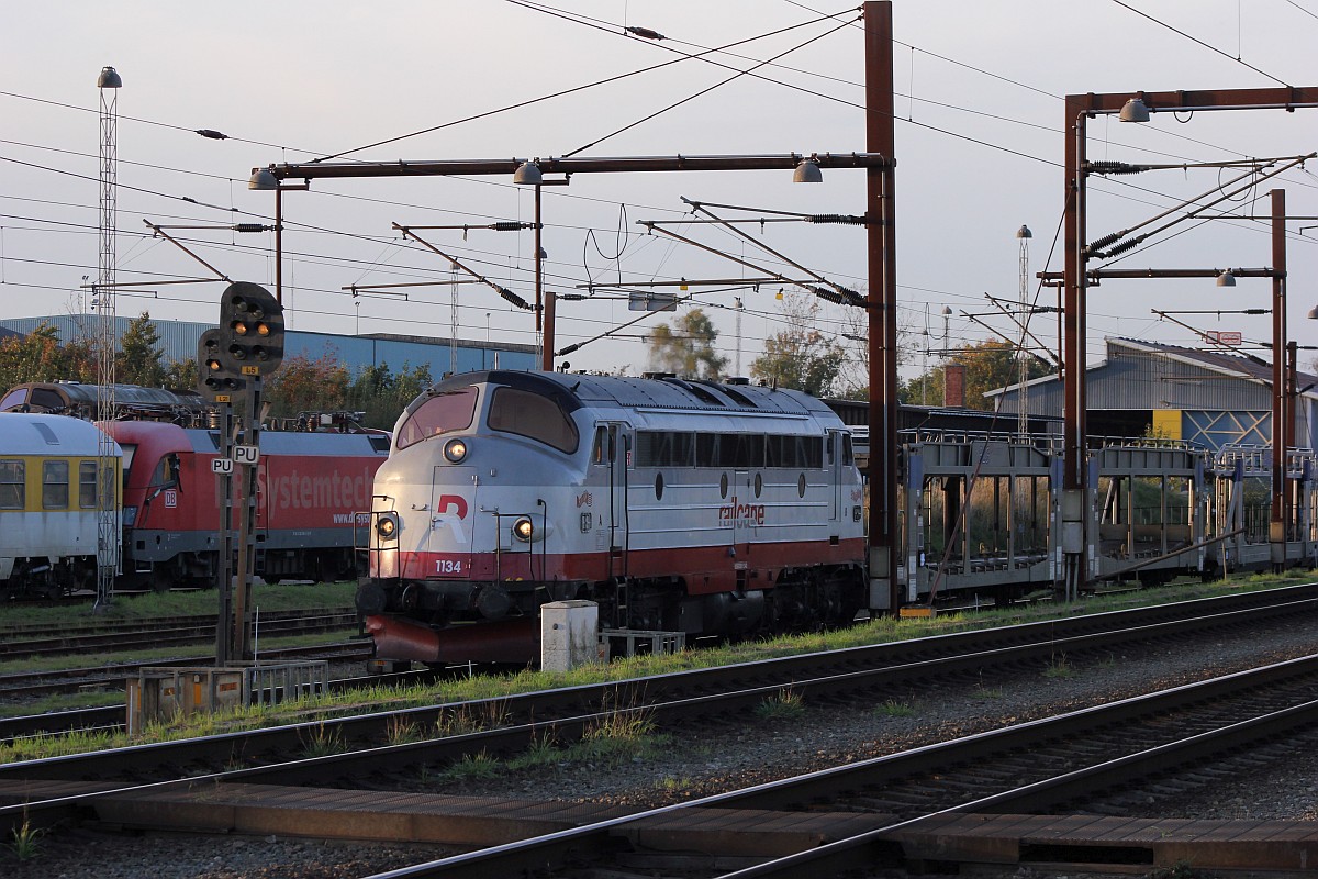 Railcare MY 1134 mit dem BLG Leerzug Einfahrt Pattburg/DK. 12.10.2018