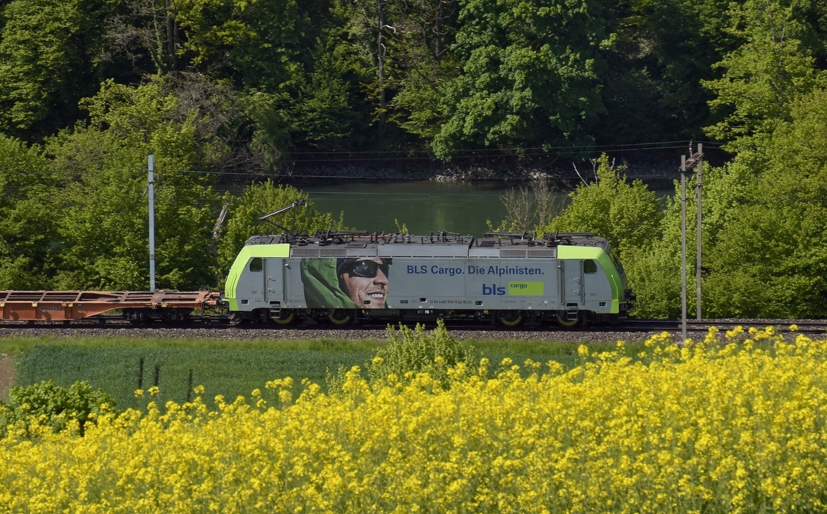 Re 486 506-9 der BLS auf Abwegen am Rhein mit Blick nach Deutschland. Etzgen, Mai 2018.