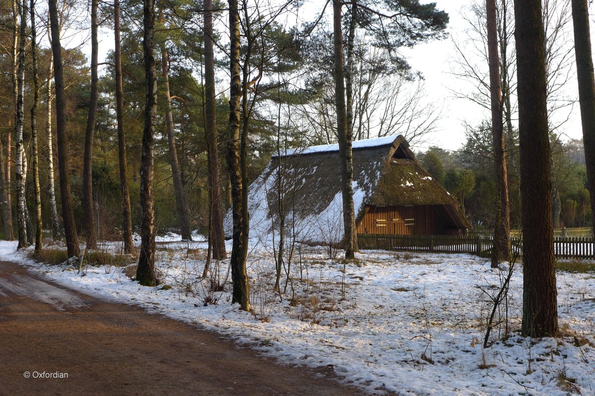 Reetgedeckter Heidschnuckenstall im Wacholderpark bei Soltau.