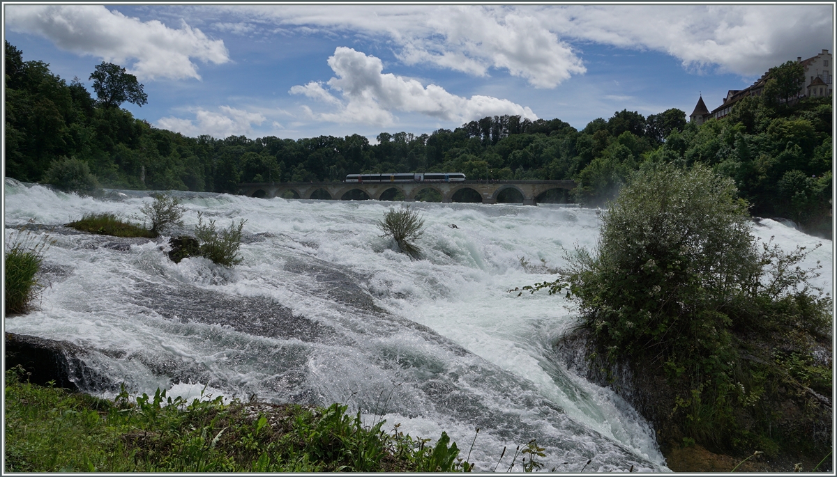 Rheinfall - und im Hintergrund ein Thurbo TGW auf der Fahrt ber die Rheinbrcke bei Neuhausen.

18. Juni 2016 