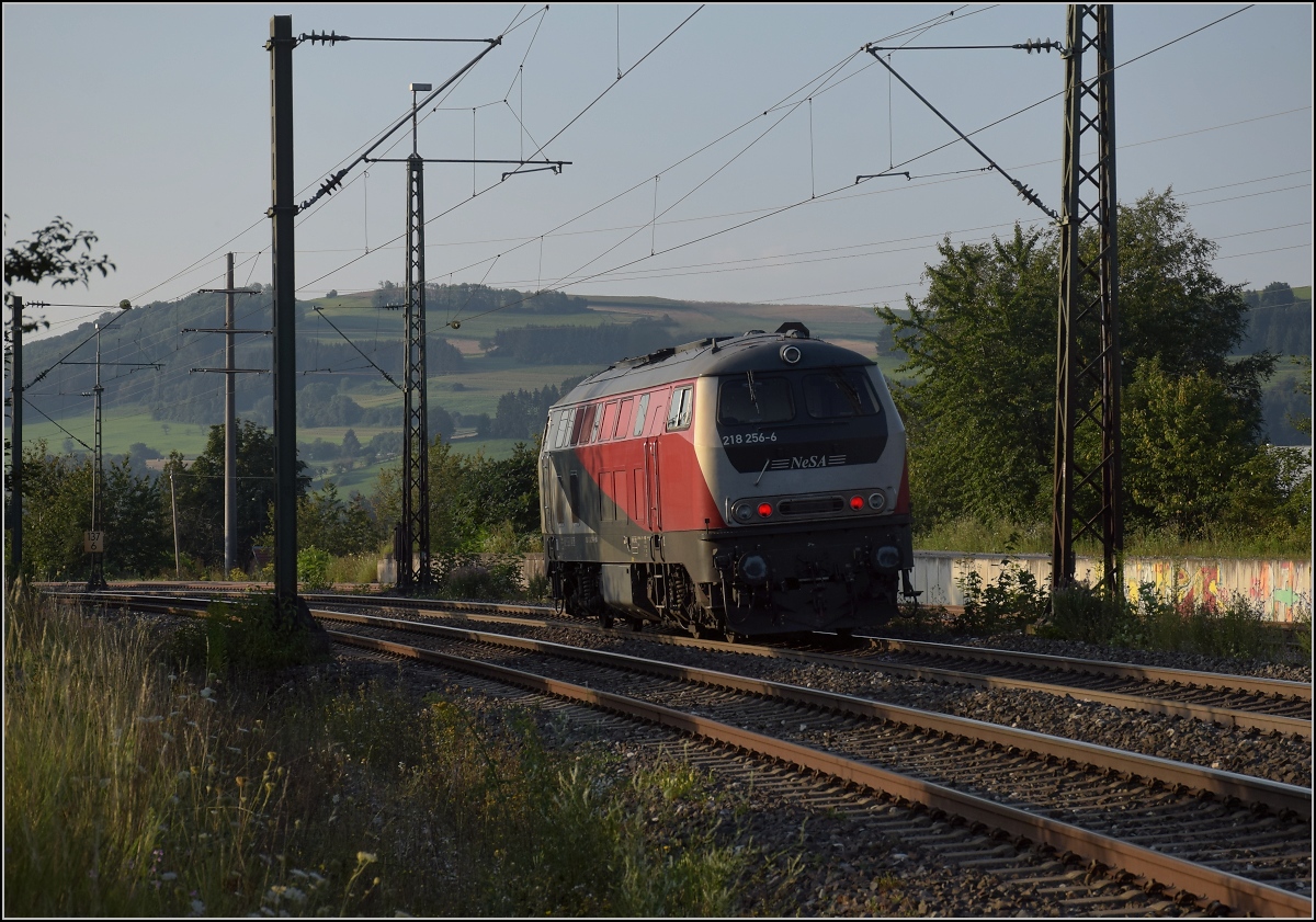 Rheintalumleiter im Hegau.

Für den Autozug nach Lörrach kam die ehemalige GKB-Lok 218 256 nach Singen geeilt, lange vor ihrem Zug. Mit ihrem (wahrscheinlich) Originalmotor hört man sie schon von weitem kommen und entscheidend lauter Brummen.

Welschingen, August 2021.