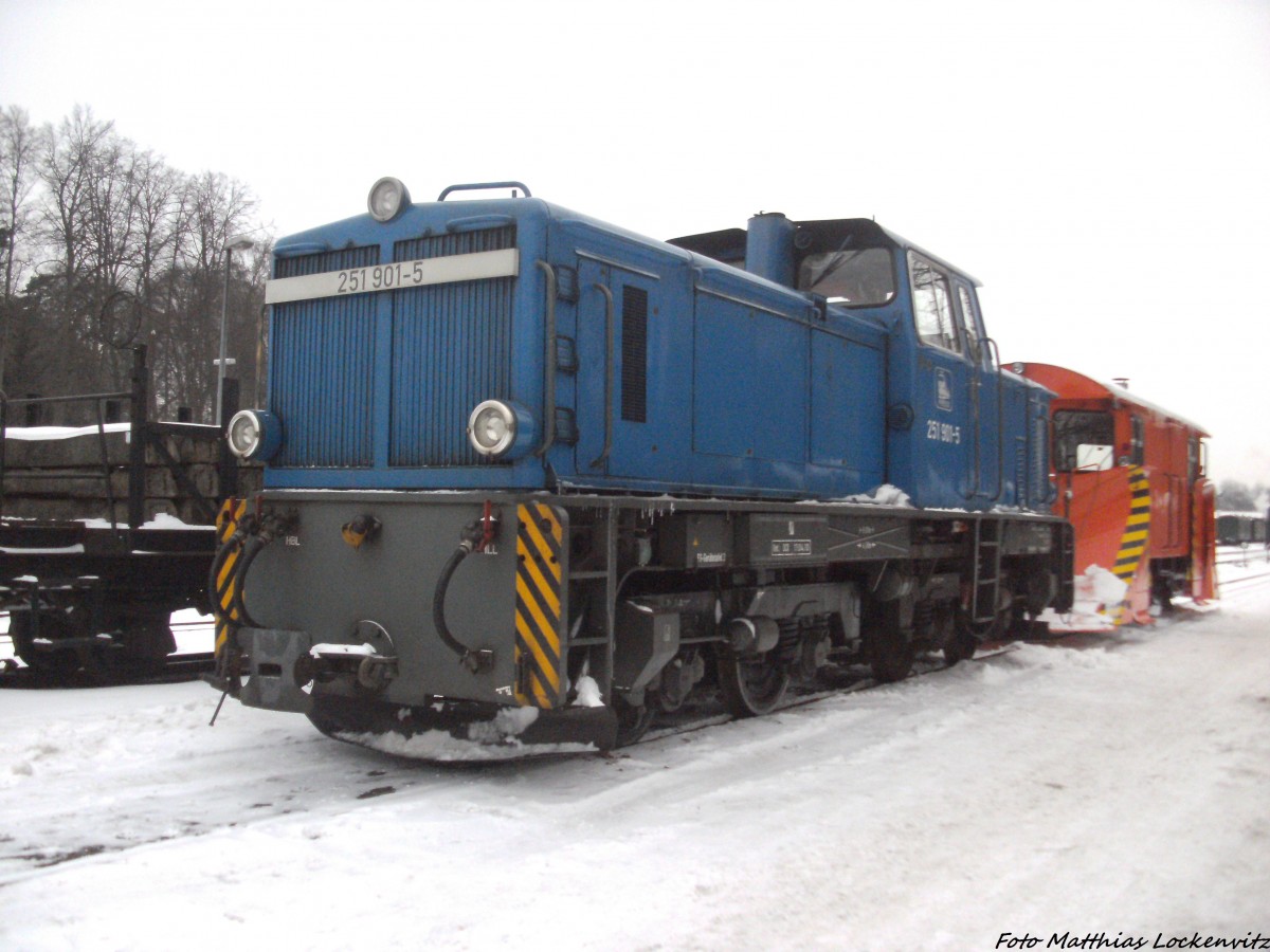 RüBB 251 901 mit dem Schneepflug abgestellt am Kleinbahn BW Putbus am 30.1.14