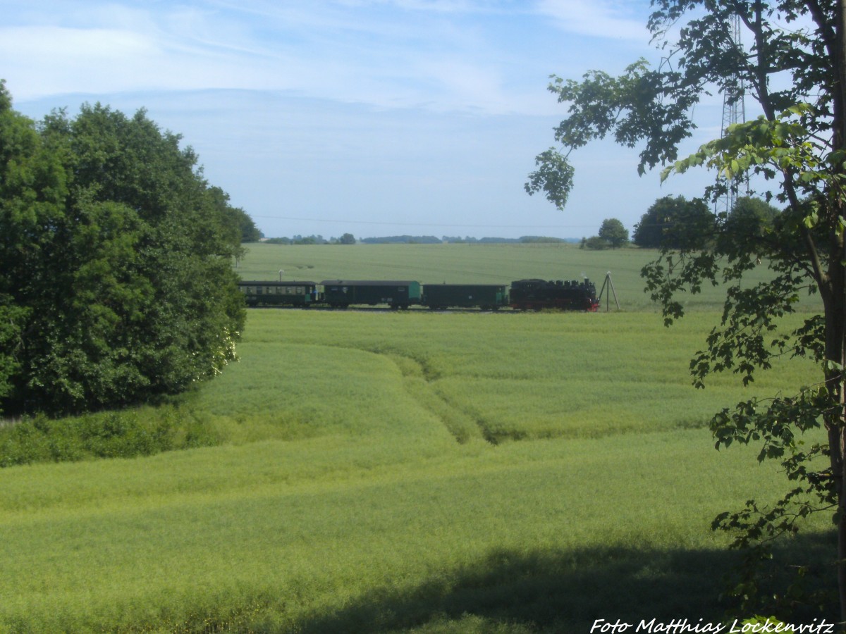 RBB 99 1784 kurz vor Putbus am 9.6.14