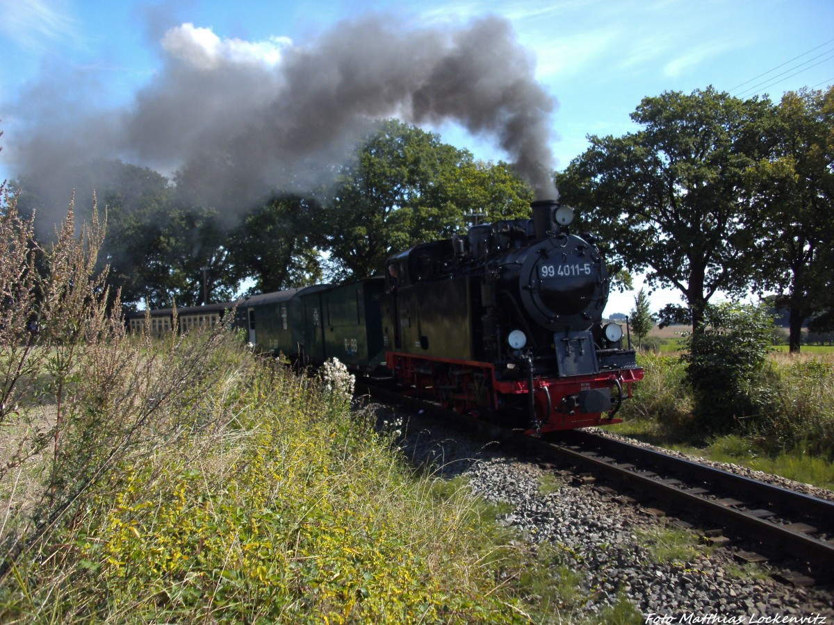 RBB 99 4011 unterwegs nach Putbus kurz vorm Hp. Beuchow am 27.8.13