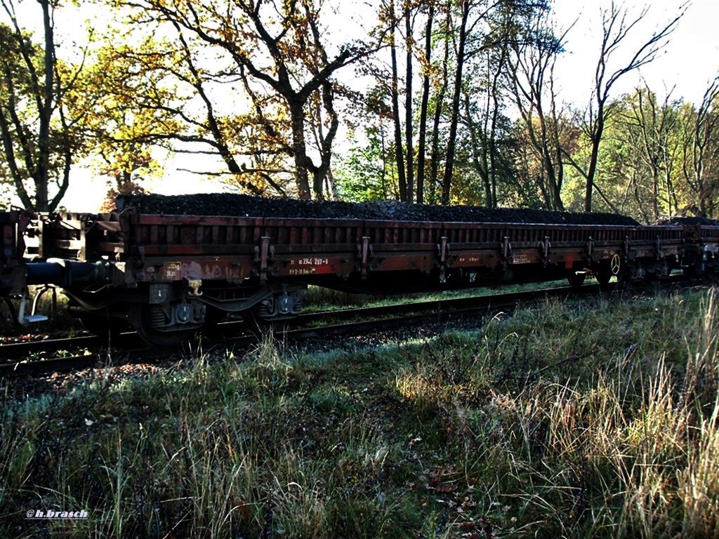 rungenwagen RES 31 80 3944 207-0 stand beim bhf glinde am 11.07.14