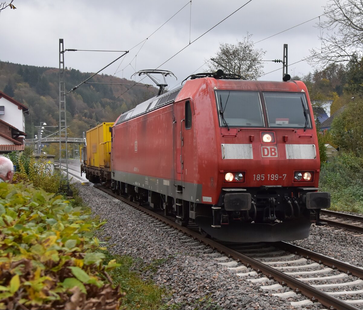 Samstag den 2.11.2024, passend zum Herbst ist die 185 199 mit einem Schienendampfer gen Neckarelz fahrend in Neckargerach zu sehen.  