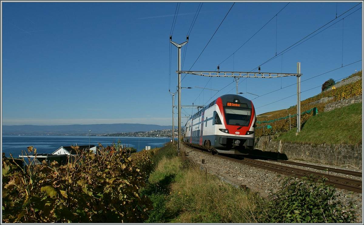 SBB RABe 511 111 als RE auf der Fahrt nach Genve.
28. Okt. 2013 