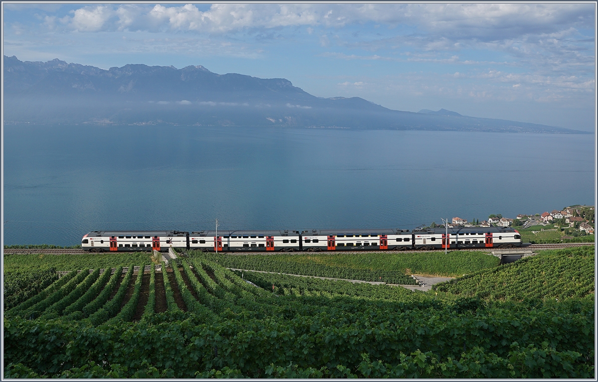 SBB RABe 511 (KISS) anstelle der sonst hier eingesetzten Domino oder FLIRT-Züge infolge des Fête des Vignerons auf der Train des Vignes Strecke bei Chexbres.

26. Juli 2019