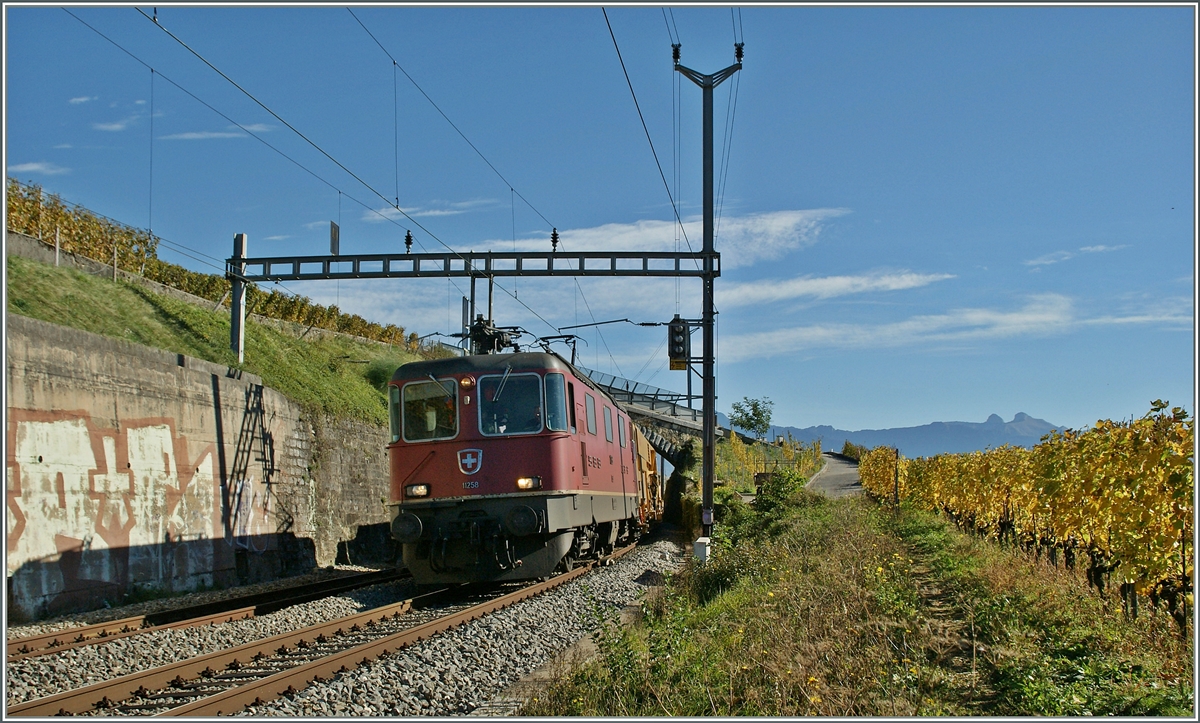 SBB Re 4/4 II 11258 bei Cully.
28. Okt. 2013