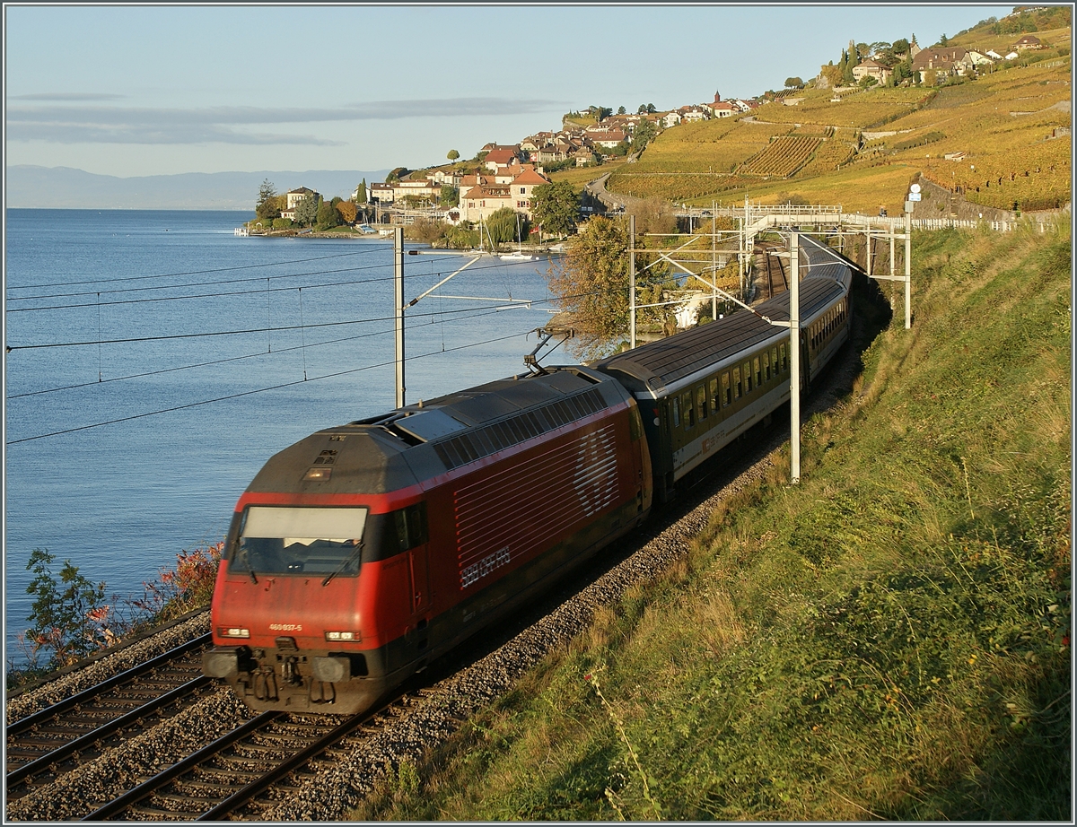 SBB RE 460 037-5 mit einem IR kurz vor St-Saphorin.
30. Okt. 2013