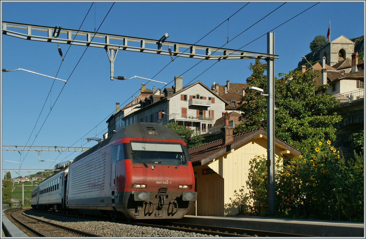 SBB Re 460 063-1 mit einem IR nach Brig bei der Durchfahrt in St Saphorin.
3. Sept. 2013  