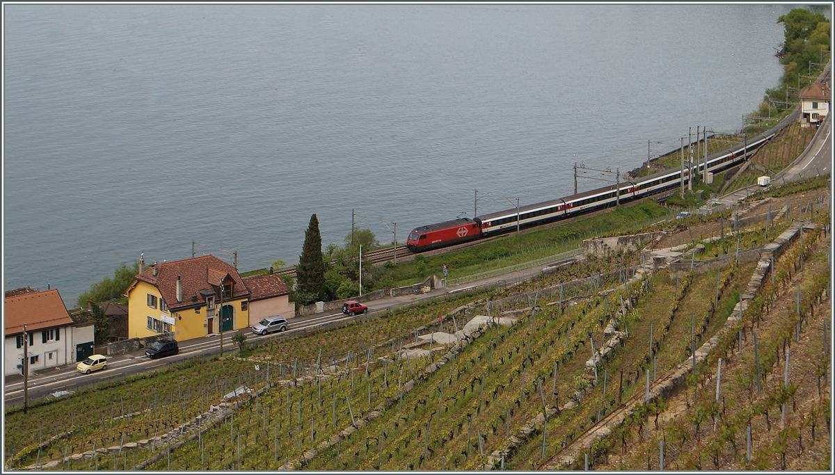 SBB Re 460 mit dem IR 1413 nach Brig bei Le Dézaley.
8. Mai 2014  