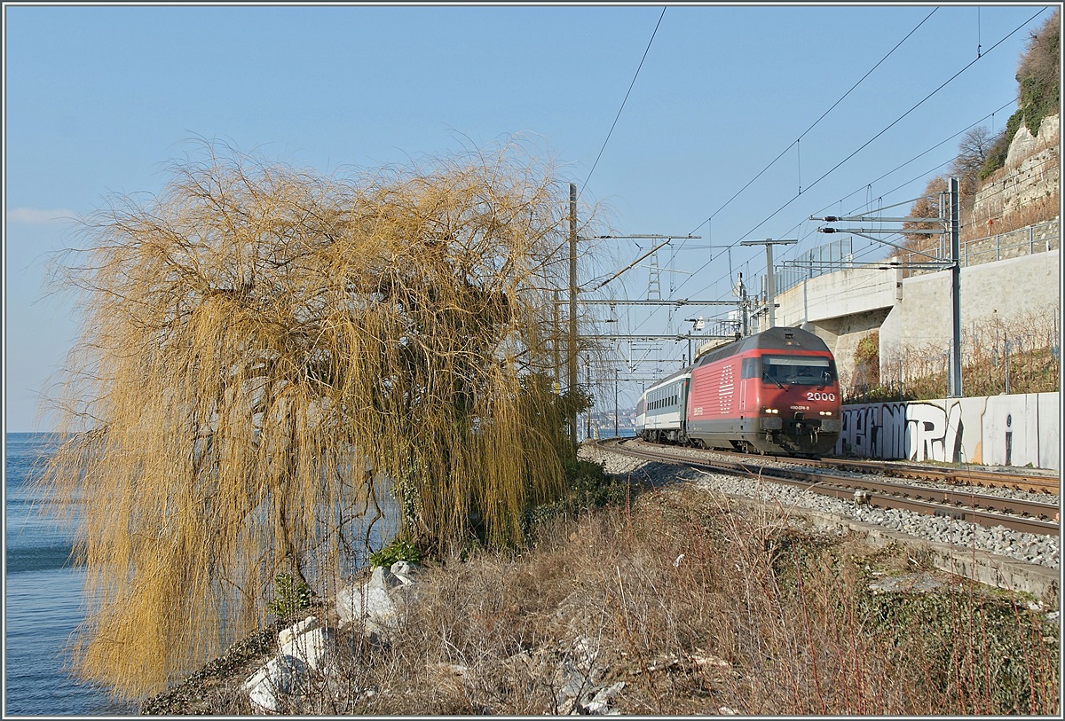 SBB Re 460  mit einem IR bei Rivaz.
22.01.2011