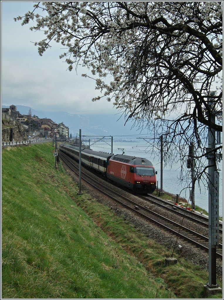 SBB Re 460 mit eine IR Brig - Genève bei Rivaz.
22. März 2015