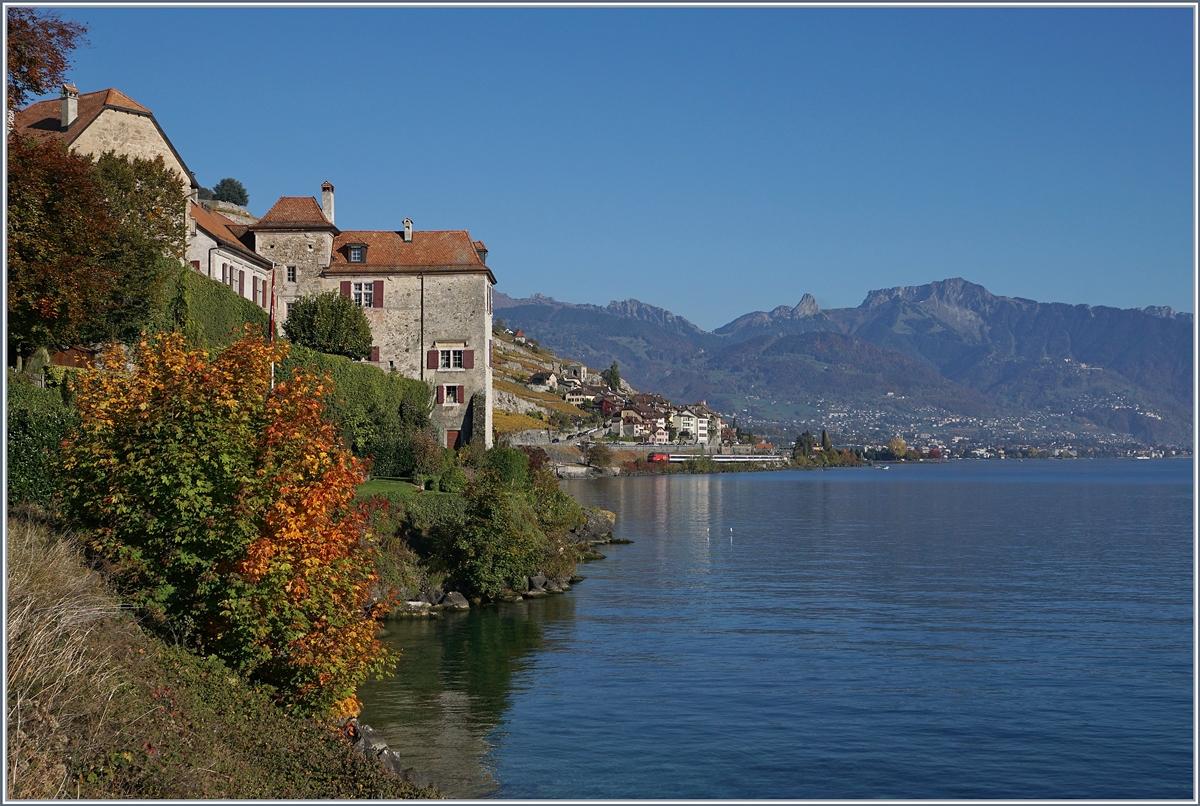 Schon fast ein Zugsuchbild mit der SBB Re 460 und ihrem IR90 zwischen St-Saphorin und Rivaz im herbstlichen Lavaux. 

16. Okt. 2017