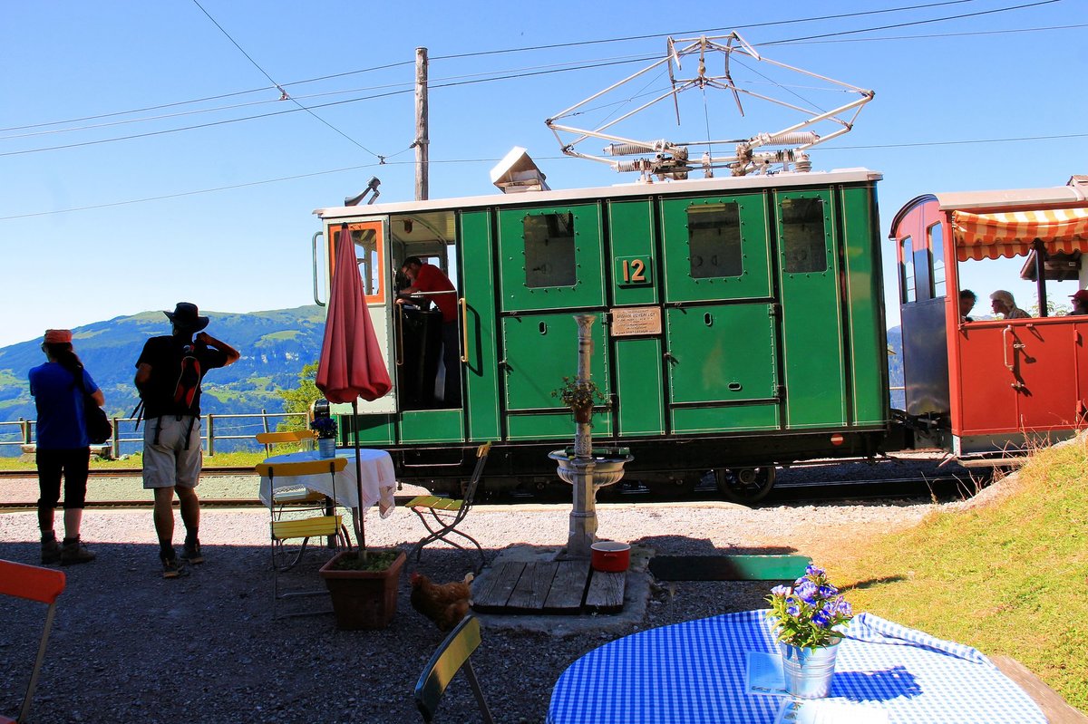 Schynige Platte Bahn: Hübsche Enziane laden zum Kaffee und zu ausserordentlich gutem Kuchen ein. Dahinter Lok 12, Breitlauenen, 23.August 2016. 