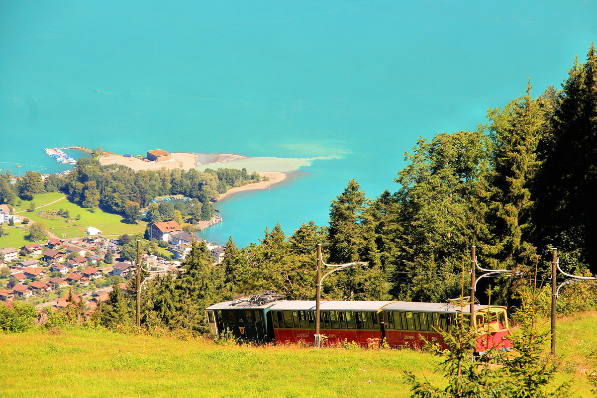 Schynige Platte Bahn: Milchig-grün bis an den oberen Bildrand... Der Brienzersee mit Lok 62 und den Wagen 51 und 52. 23.August 2016. 