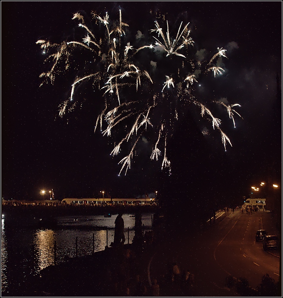 Skyfall!

Geheimer Seehas im Dienste seiner Majestät wird von Adele eindrucksvoll bei der Einfahrt begleitet. Konstanz, August 2015. 

Vergleiche auch http://www.bahnbilder.de/bild/Deutschland~Galerien~Experimente+-+Anders+gesehen/886963/skyfall-geheimer-seehas-im-dienste-seiner.html