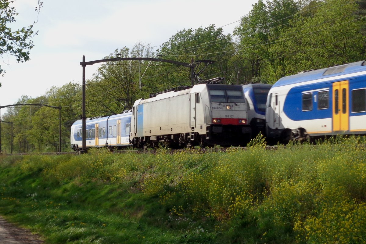 Soloauftritt fr 186 107 bei Tilburg am 24 April 2019.