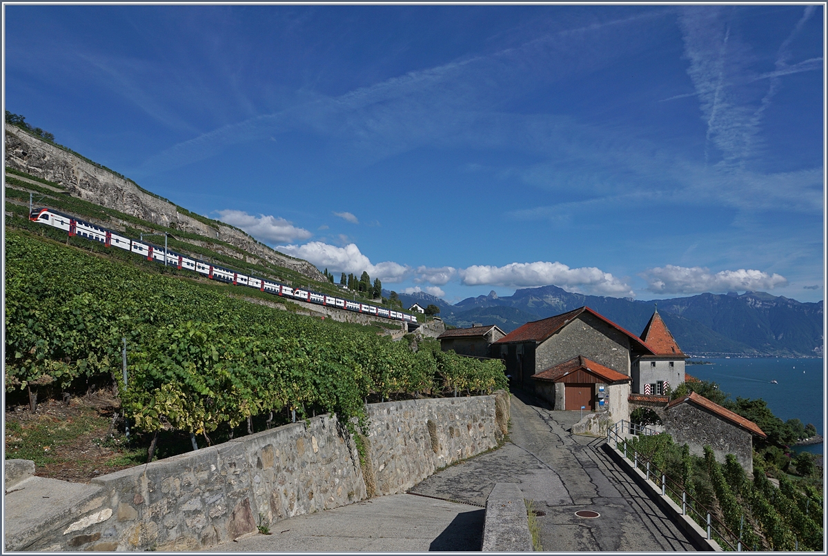 Sommerumleitungsverkehr mit RABe 511 via die  Train de Vignes Strecke oberhalb von St-Saphorin.

26. Aug. 2018