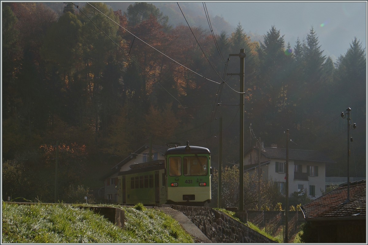 Spät-Herbst Stimmung auf der ASD, oberhalb von Aigle. 
4. Nov. 2015