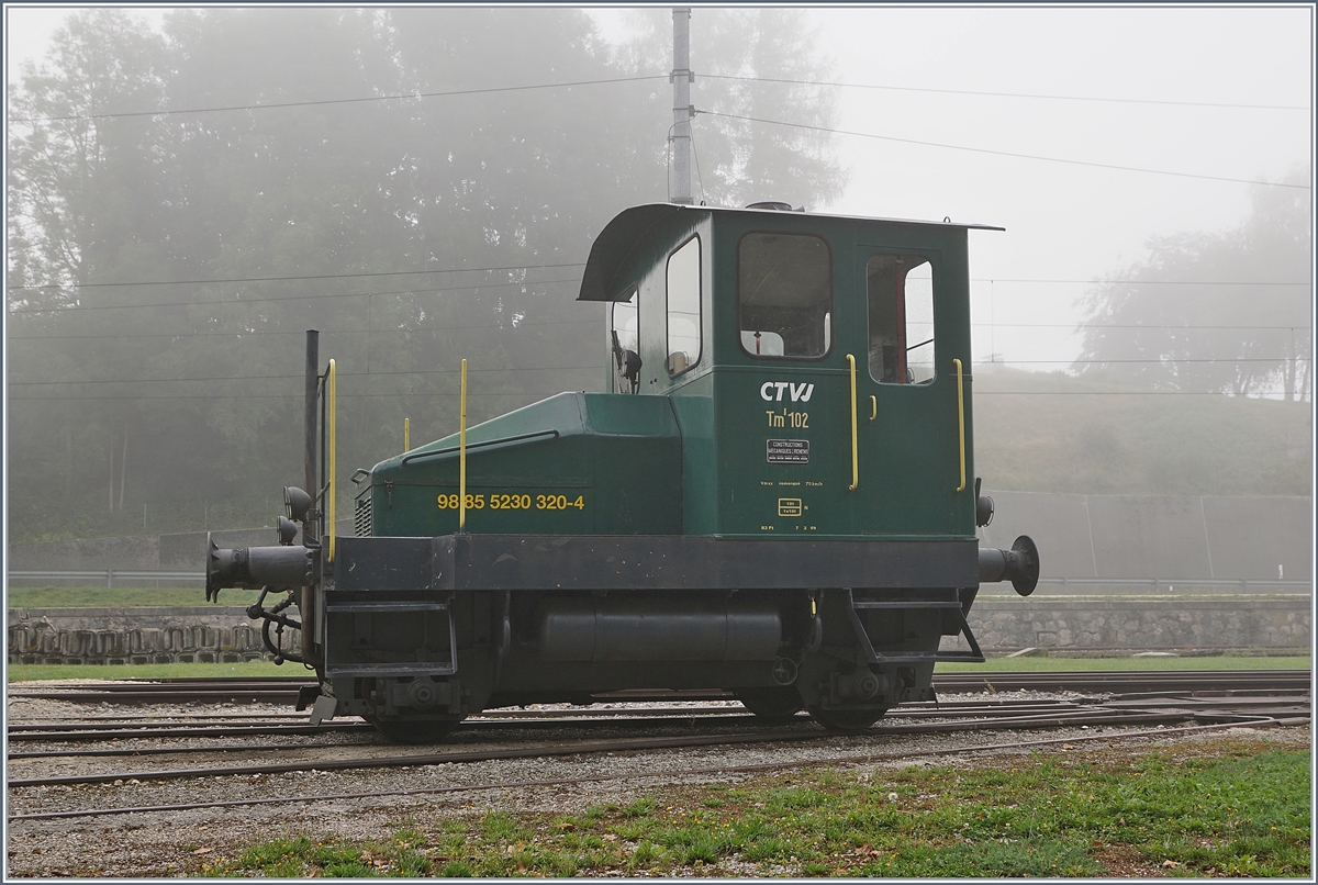 Spitzmaus in Grün und mit UIC Nummer: der CTVJ Tm I 102 (UIC 98 85 5230 320-4) steht in Le Pont. 
28. August 2018
