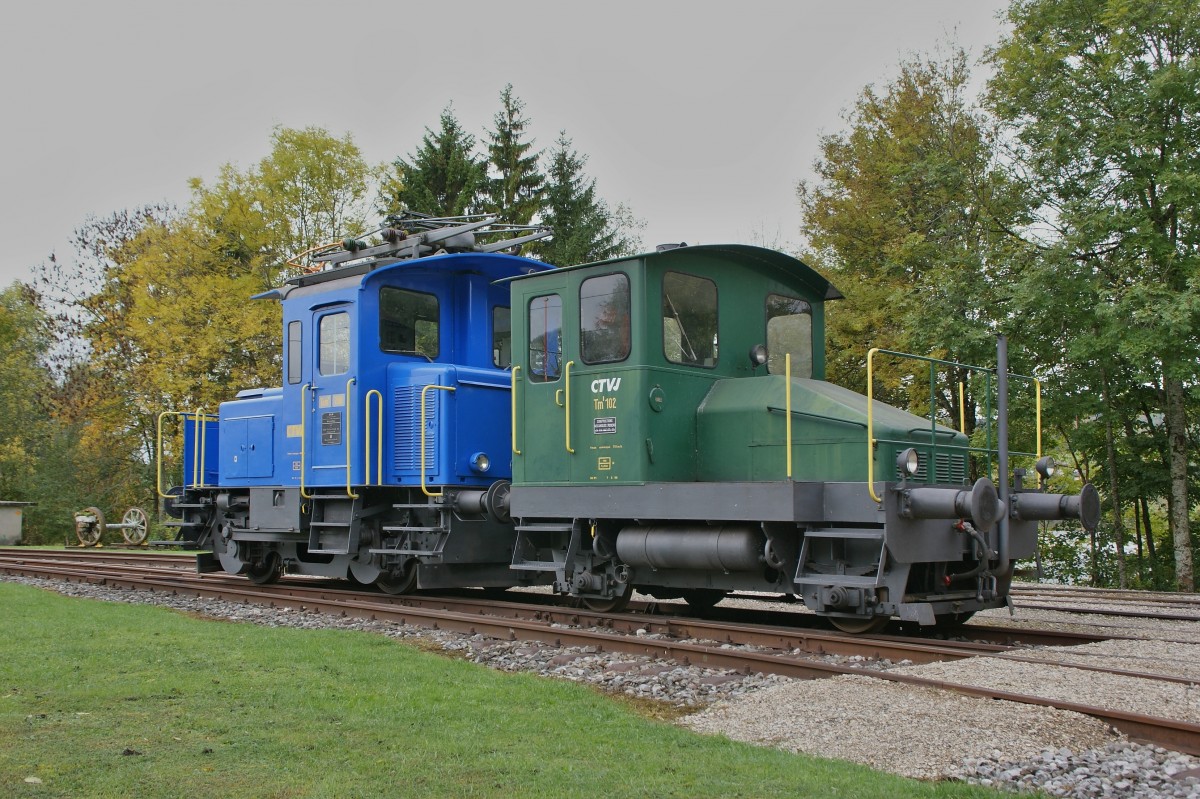 Spitzmaus in Grün: Tm I 102 und Tem II 288 in Le Pont. 
11. Okt. 2012