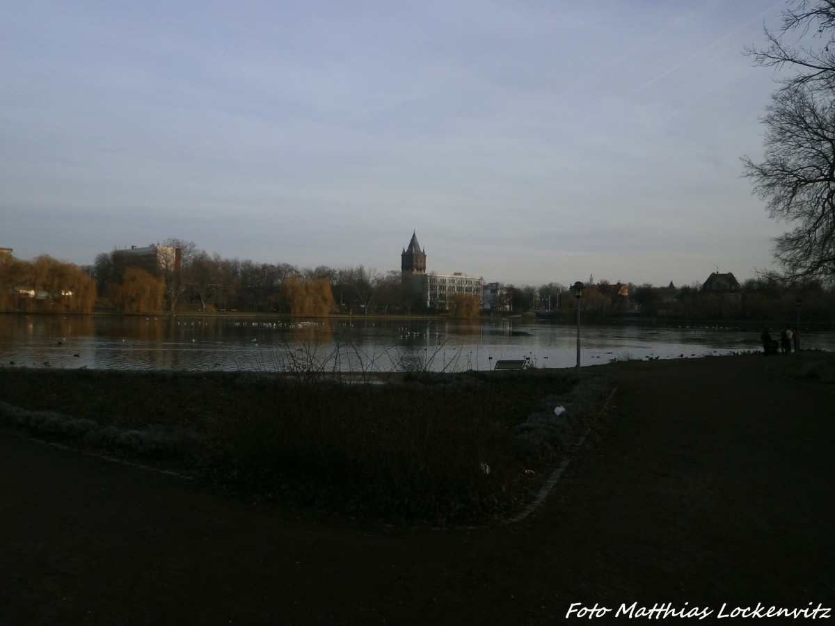 Stadtteich in Merseburg am 6.1.15