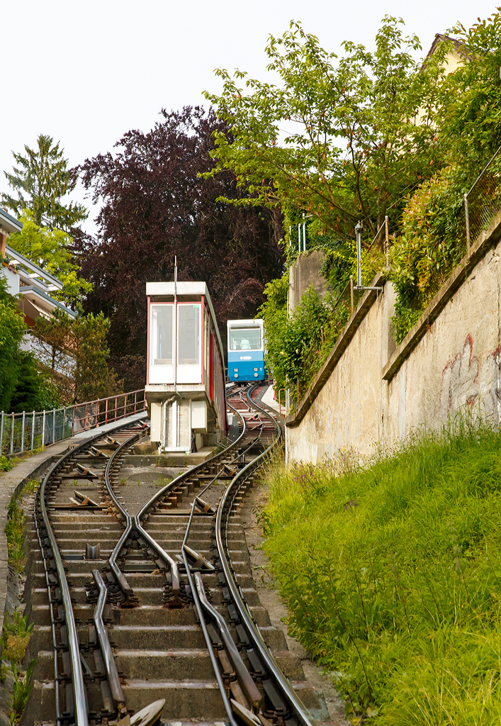 
Standseilbahn Rigiblick in Zrich am 06.06.2015, der Wagen 1 kommt auf Talfahrt, whrend wir im Wagen 2 auf Bergfahrt sind, hier an der Kreuzungstation Hadlaubstrasse mit den abtsche Weichen (auch Abt´sche Weiche oder abtsche Ausweiche)