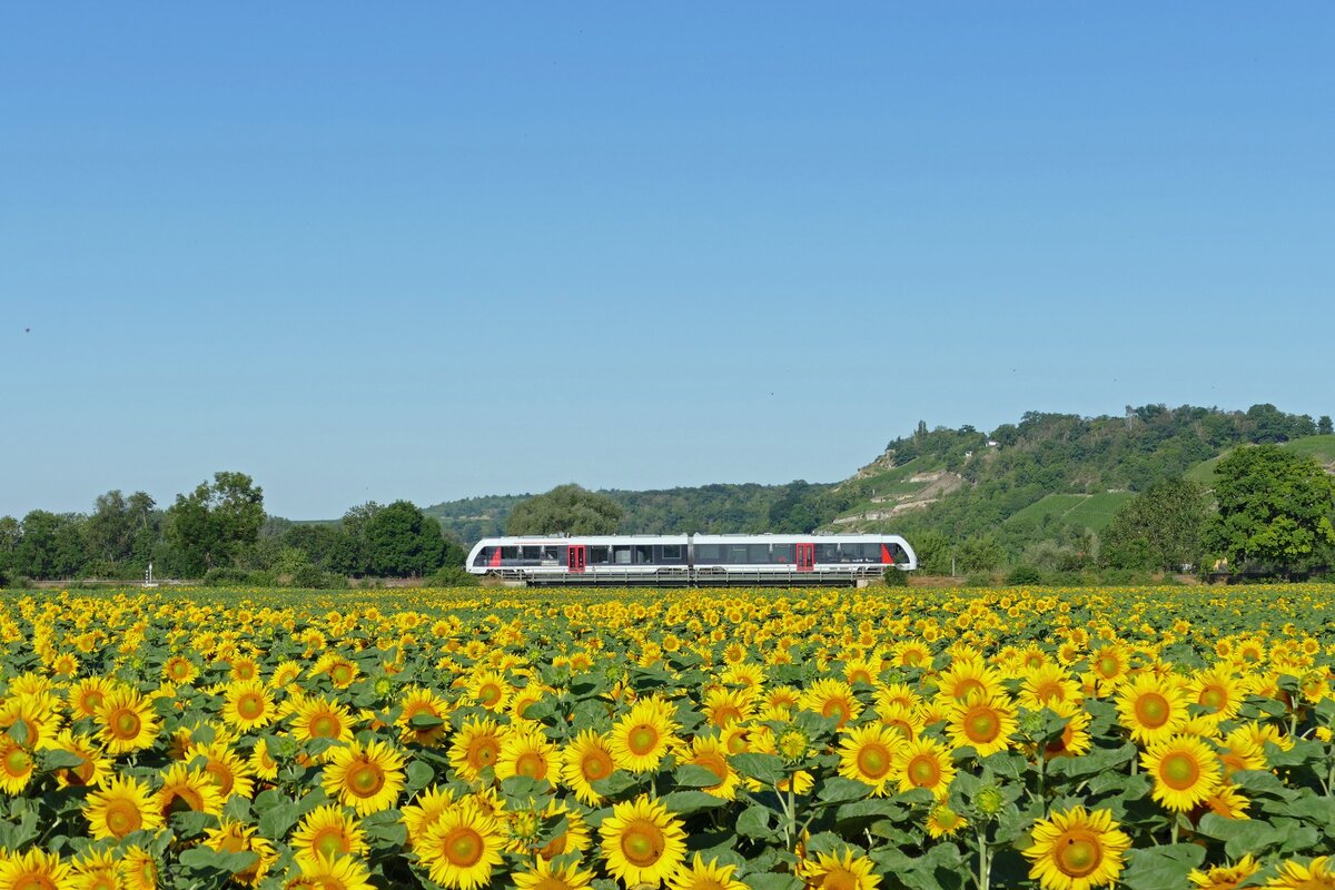 Start Mitteldeutschland 1648 xxx als RB 80548 von Naumburg (S) Ost nach Wangen (U), am 02.07.2025 auf der #nstrutbahn bei Roßbach. (Foto: Wolfgang Krolop)