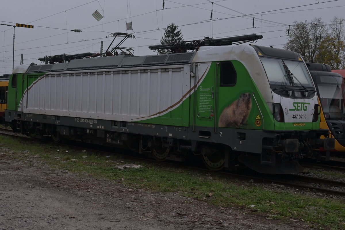 STEG 487 001 steht in Mosbach-Neckarelz  am Samstag  den 9.11.2024