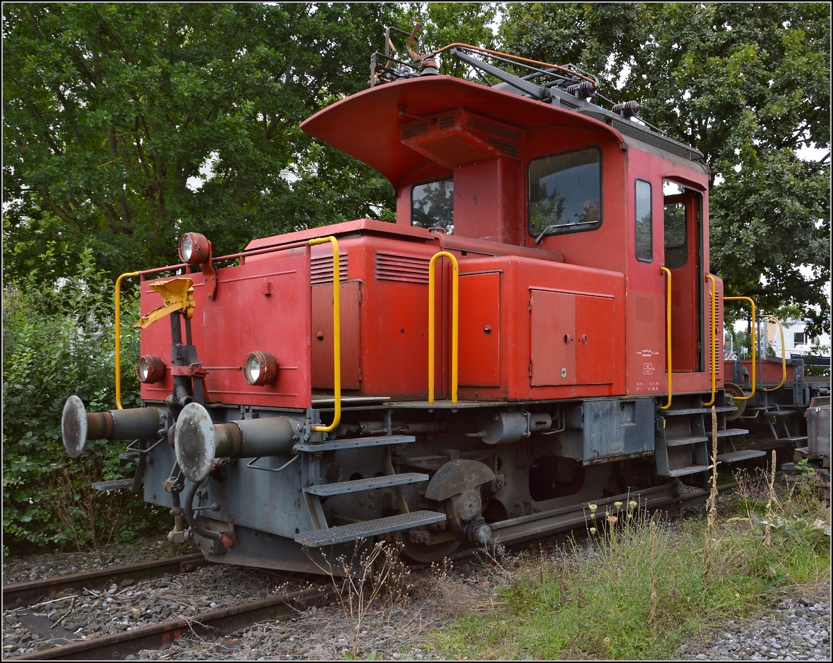 Tem II 295, nach einer kleinen Pflege schaut er schon viel sauberer aus. August 2014.