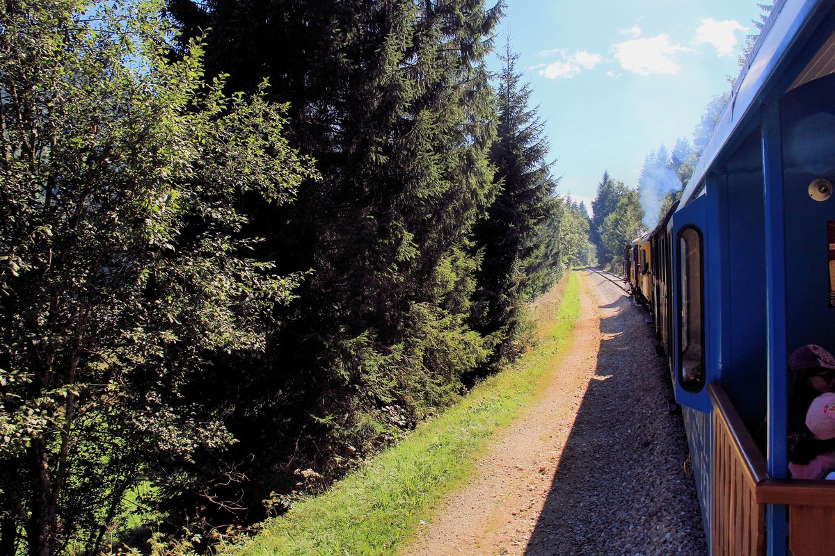 Typische Landschaft auf der Ostseite des Passes. Aus einem Zug im Aufstieg Richtung Les Hpitaux-Neufs. 11.August 2018 