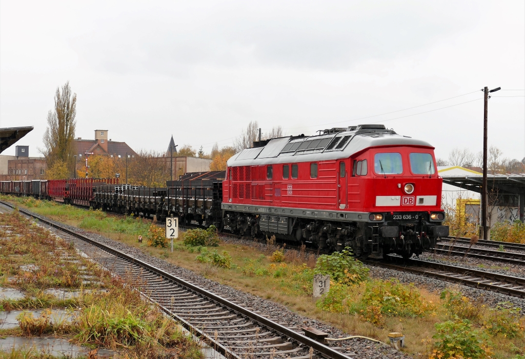 Umleiter in Zeitz. Vom 29.10.2021 bis 02.11.2021 wurden die Stahlz�ge zwischen Halle (S) und K�nitz �ber Zeitz gefahren. Grund daf�r waren Bauarbeit bei Saalfeld (S).
DB 233 636 mit Stahlzug nach Halle (S) Gbf, am 01.11.2021 bei der Durchfahrt in
Zeitz.