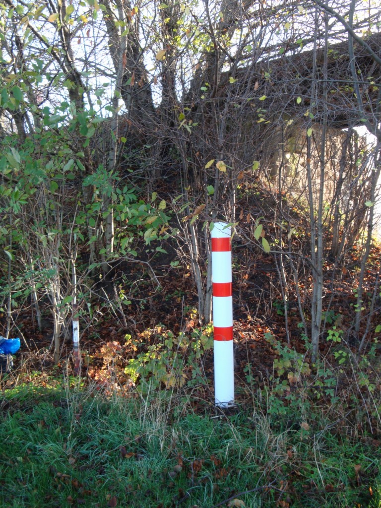 Unbekannter roter Pfal an der Finnebahnbr�cke zwischen Laucha und Golzen; 13.11.2013 (Foto: G�nther G�bel)