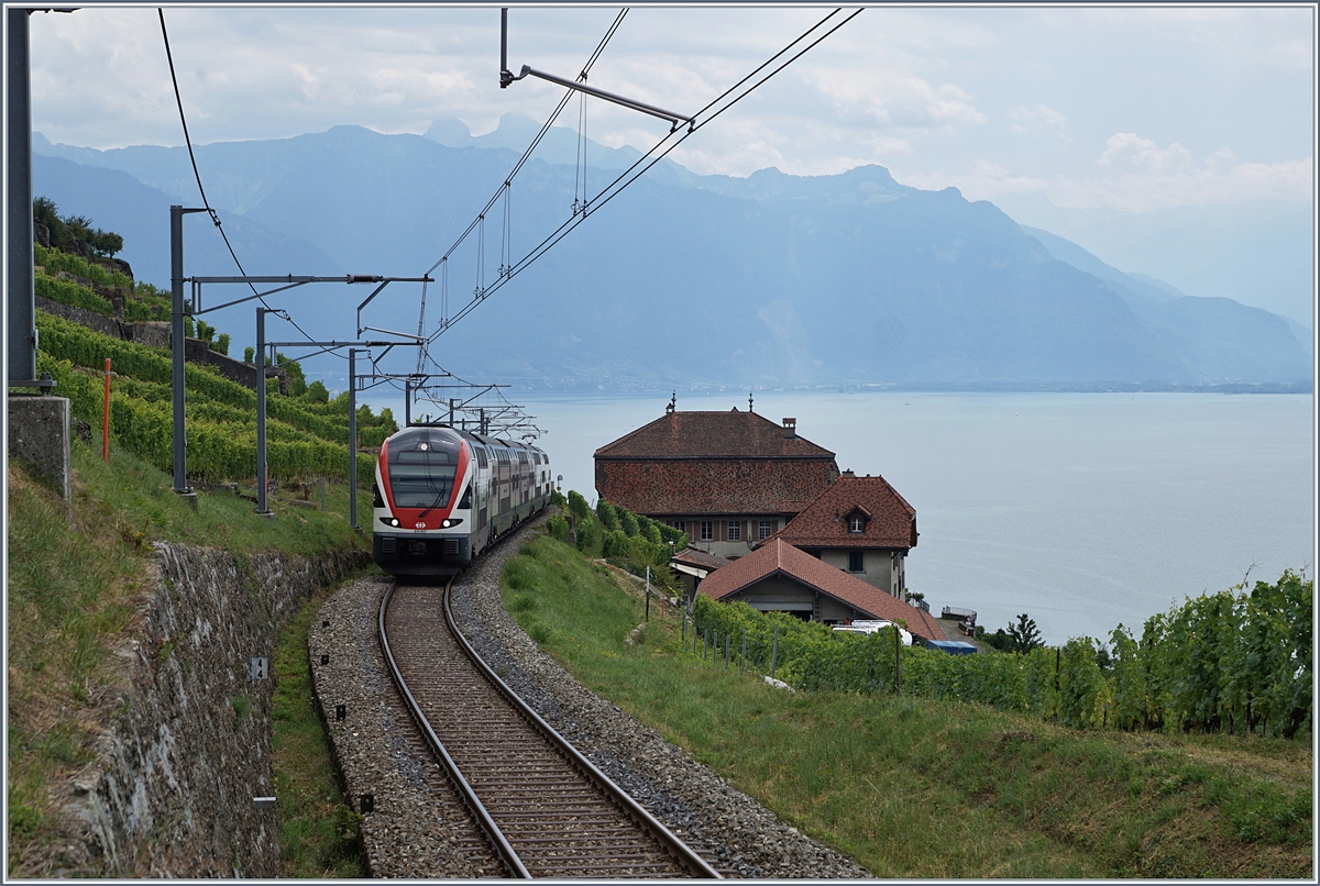 Unter dem Titel  Sommerfahrplan  wurde dem Publikum einschneidende Betriebsbeschränkungen schmackhaft gemacht, eine davon betraf die komplette Streckenerneuerung Puidoux - Lausanne auf der wichtigen Hauptstrecke Lausanne - Bern, so dass ein Ersatzkonzept mit Züge via  Train de Vignes  Strecke angeboten wurde. Die Züge Genève - Vevey - Fribourg wurden von KISS RABE 511 gefahren. 

Ein SBB RABe 511 kurz vor Chexbres Village auf der Fahrt nach Fribourg. 

10. Juli 2018