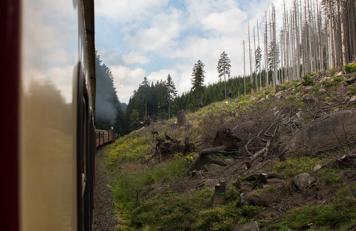 Unterwegs mit einem Dampfzug der Harzer Schmalspurbahnen, gezogen von 99 7237-3 zwischen Schierke und Brocken am 16.08.16.