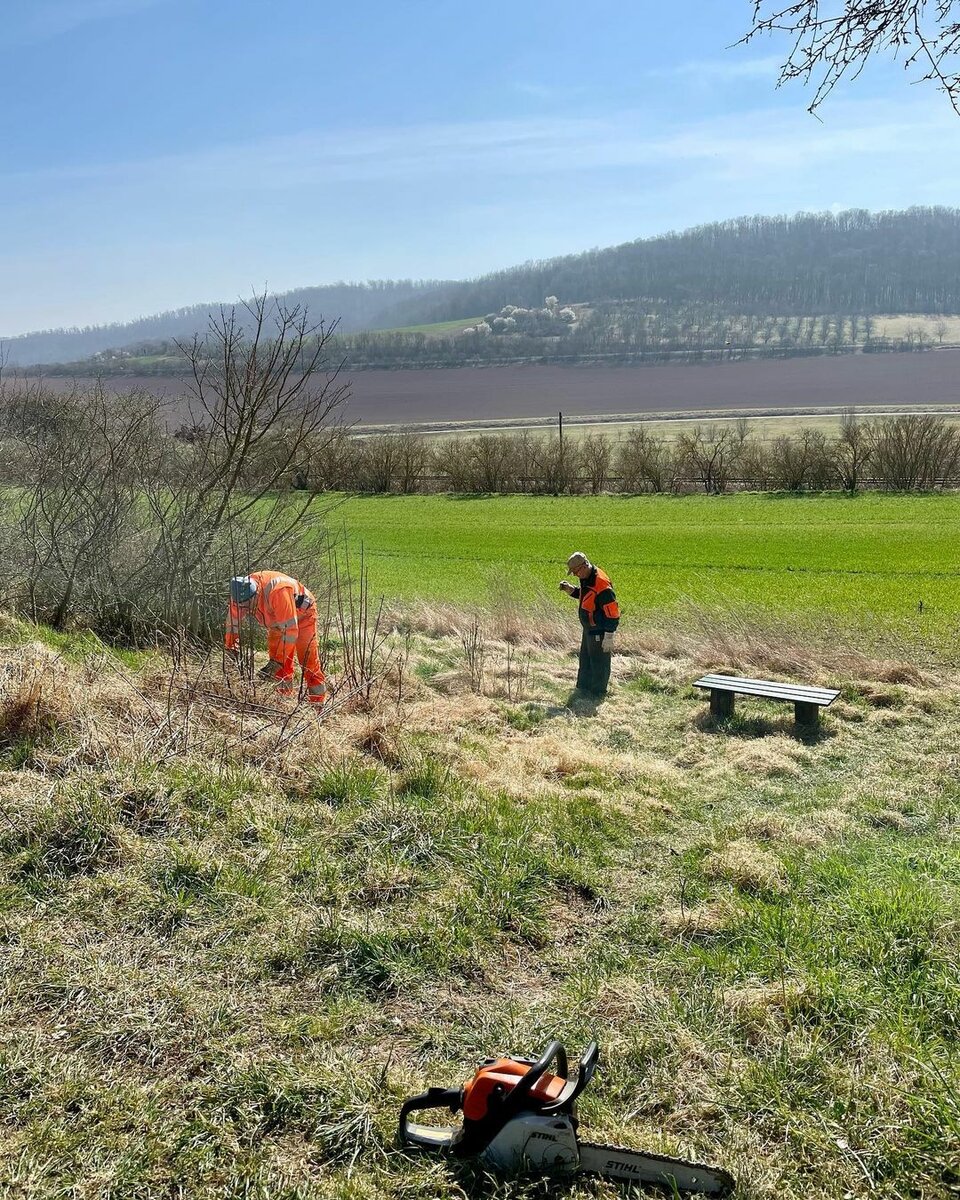 Vegetationsarbeiten am 26.03.2022 am Bahnwanderweg zwischen Roßleben - Memleben/ Wendelstein und Wangen durch Mitglieder der IG Unstrutbahn e.V.. (Foto: IG Unstrutbahn)