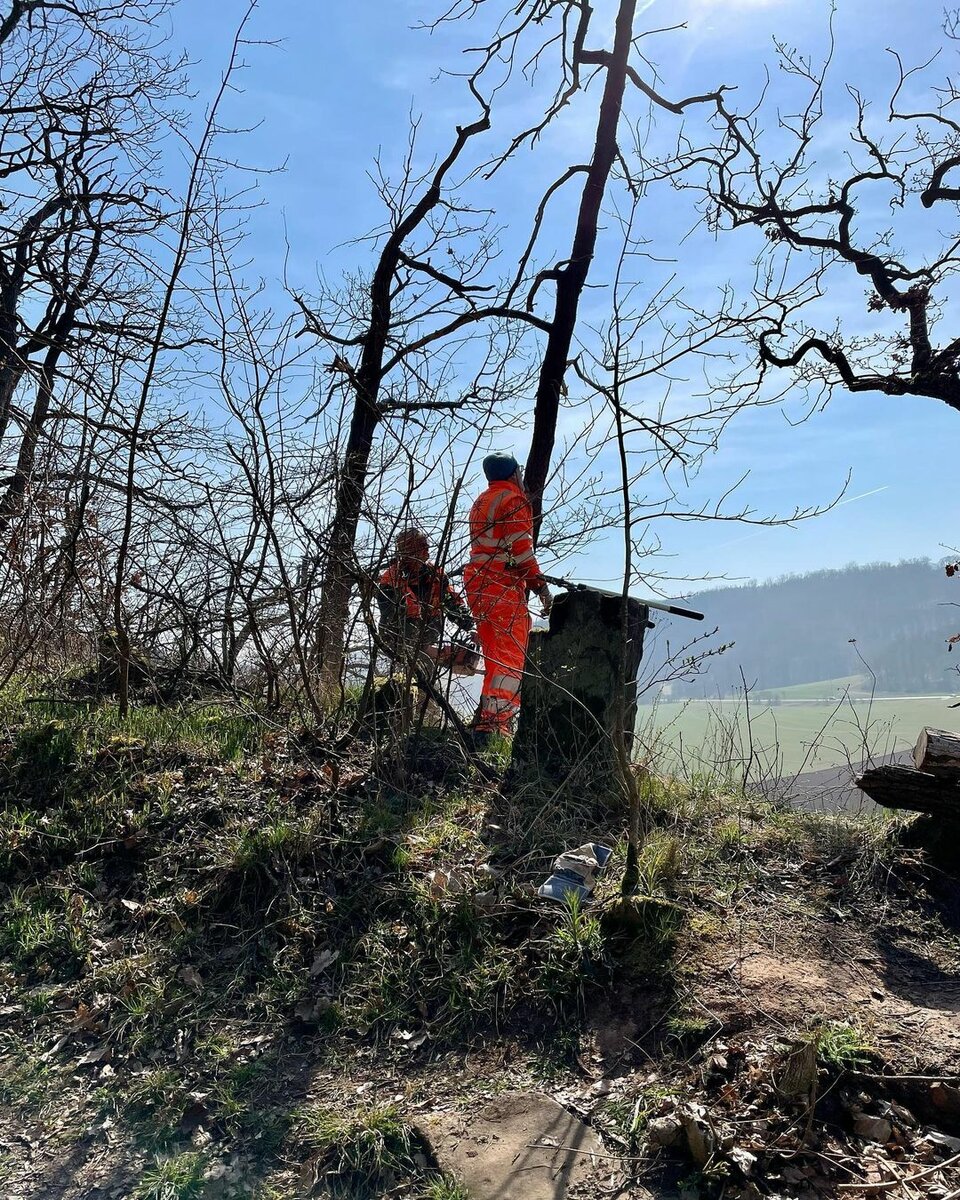 Vegetationsarbeiten am 26.03.2022 am Bahnwanderweg zwischen Roßleben - Memleben/ Wendelstein und Wangen durch Mitglieder der IG Unstrutbahn e.V.. (Foto: IG Unstrutbahn)