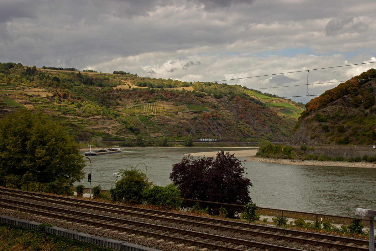 Vlexx-Lint 622 430 durchfährt das Mittelrheintal, während ein Schubverband die Loreley vor einigen Minuten hinter sich gelassen hat und nun flussaufwärts unterwegs ist.