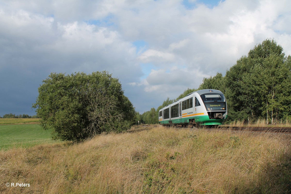 VT12 als VBG81127 Marktredwitz nach Regensburg bei Schnfeld. 03.09.13