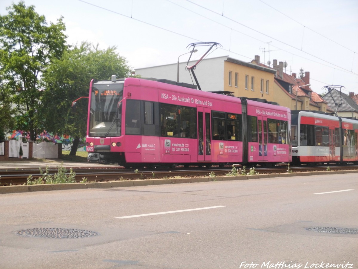 Wagen 656 und 65x unterwegs als 1S mit ziel Krllwitz / Ranischer Platz am 8.6.15