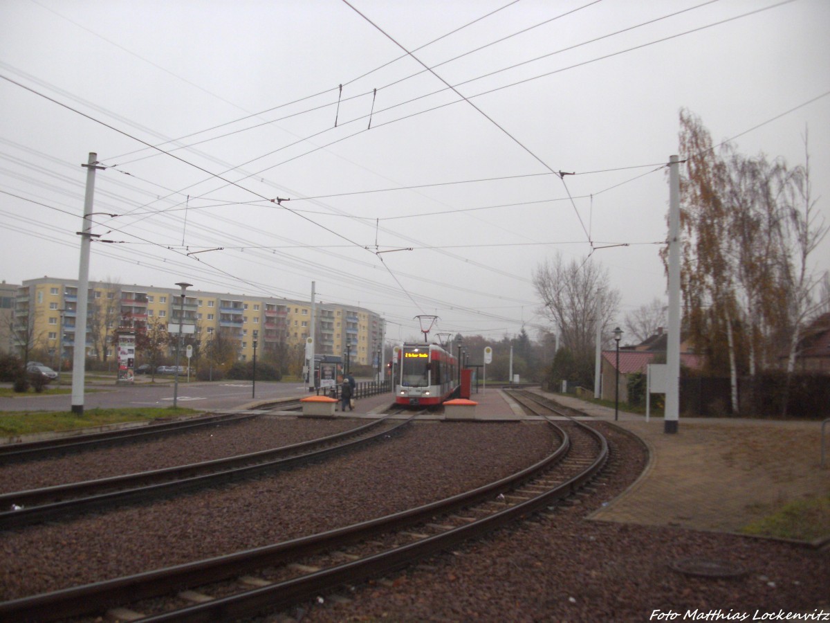 Wagen 6XX mit ziel Soltauer Strae an der endhaltestelle Beesen am 20.11.14