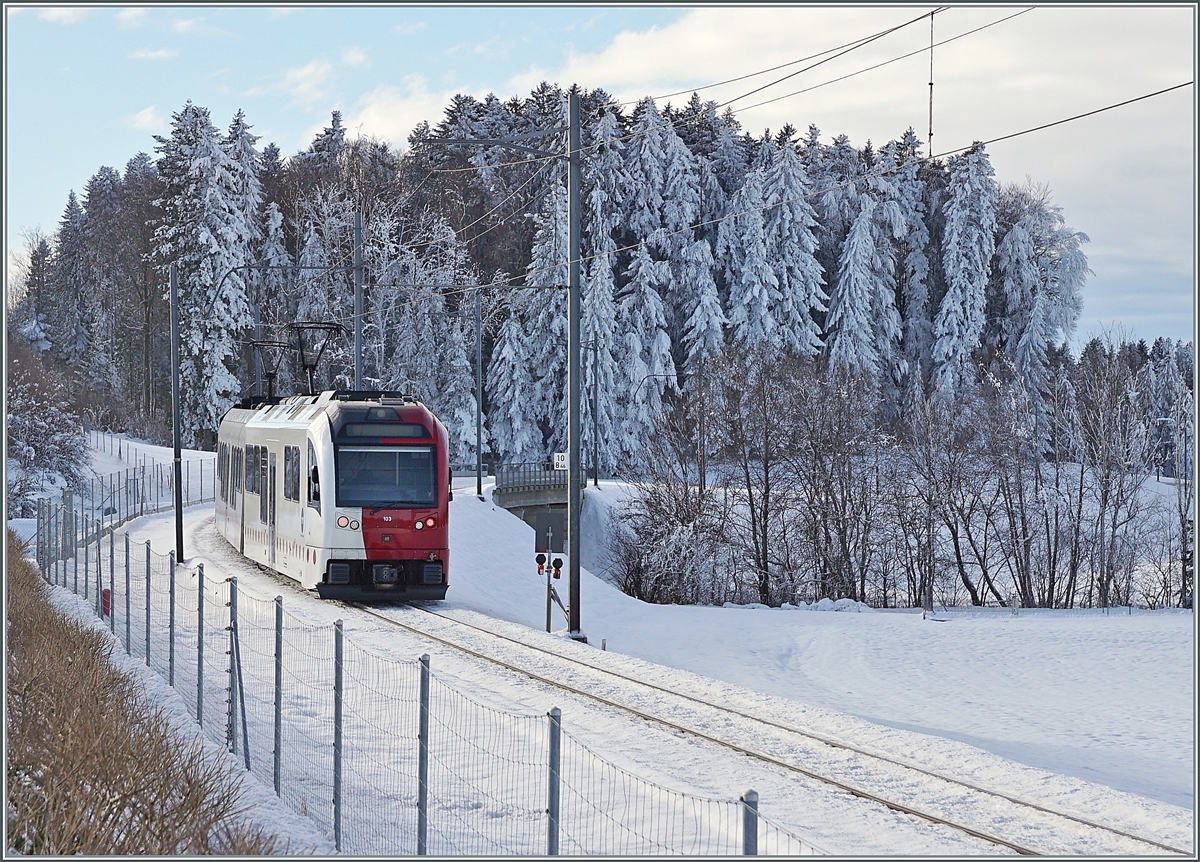  Warmfront  und  warmer Wind  sind auch im Winter relativ frisch, und so konnte sich auf Wind geschützten Seite die Winterstimmung doch noch etwas länger halten. Im Bild der ABe 2/4 - B - Be 2/4 103 auf dem Weg nach Palézieux zwischen Vaulruz Sud und Le Verrerie. 

23. Dezember 2021