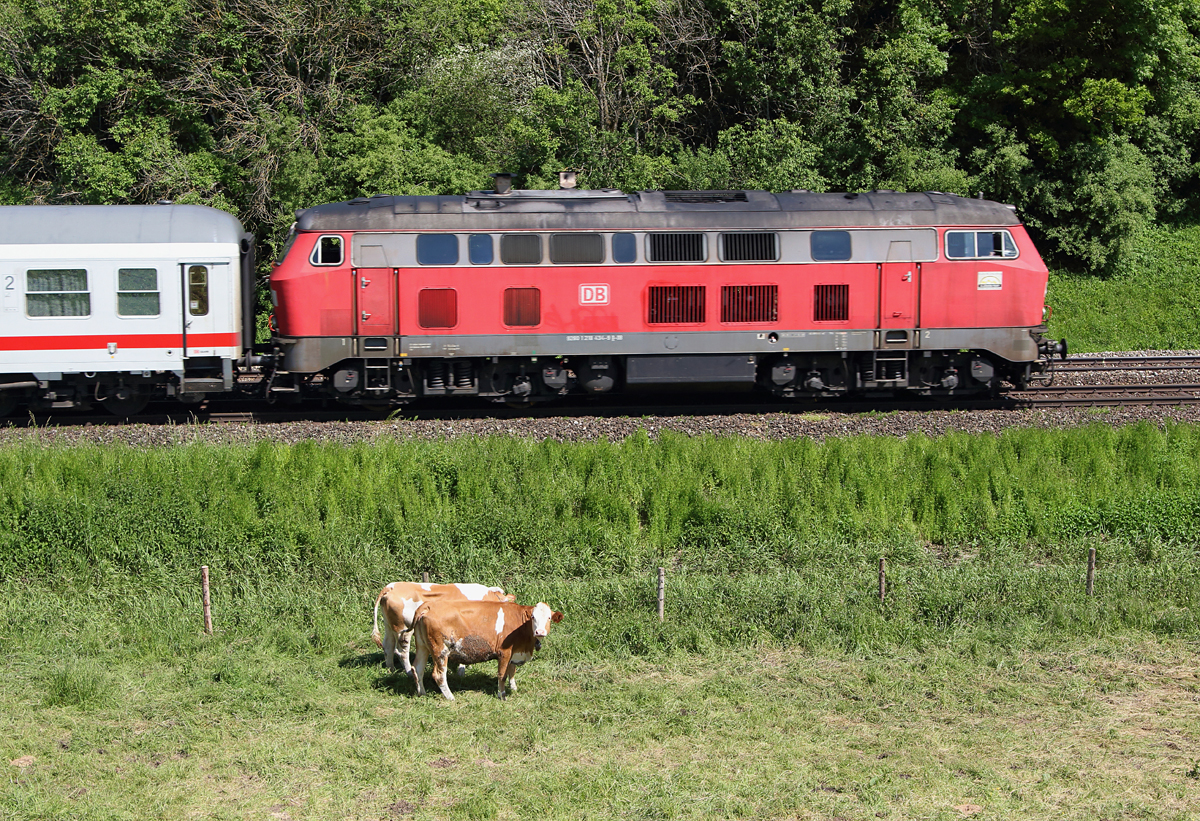  Was guckst Du? , würde mich der Allgäuer Bulle fragen, wenn er sprechen könnte. An die ständig vorbeifahrenden Züge hat er sich sicher gewöhnt, aber an manche Menschen, die ihn mit so´nem schwarzen Apparat vor´m Gesicht anstarren, wohl eher nicht. 
Bei Görwangs pendelte am 13.06.13 die Ulmer 218 434-9 mit diversen IC´s.